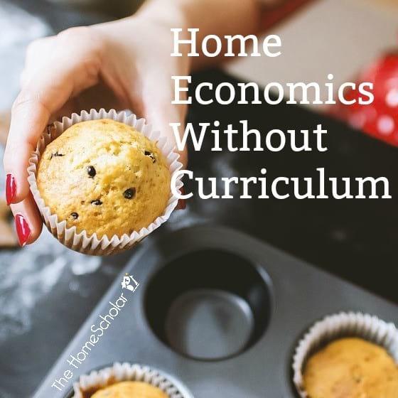 Home Economics Without Curriculum
