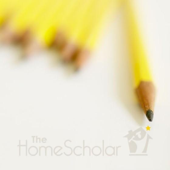 Help for Homeschooling Middle School