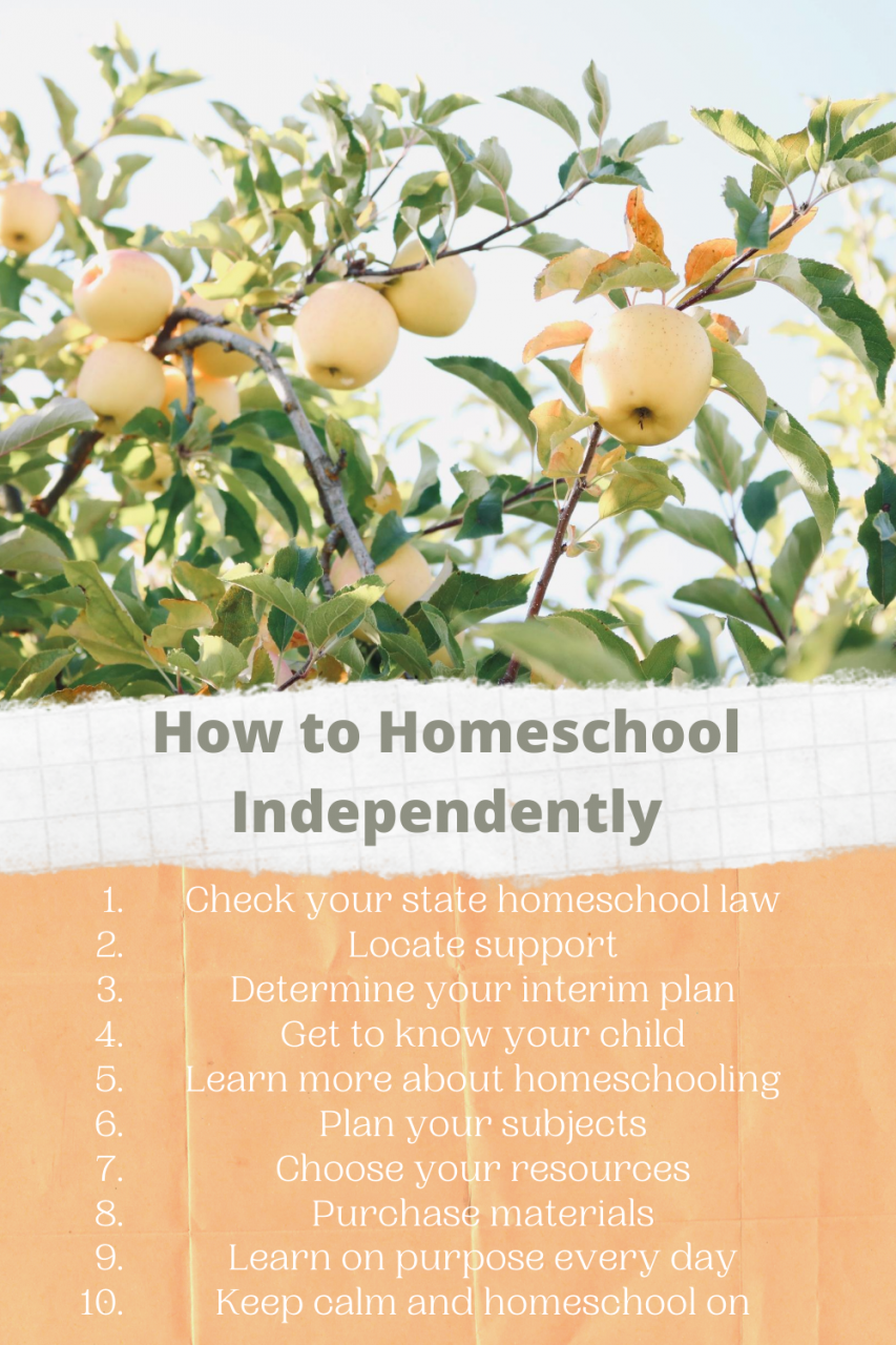 How to homeschool independently pin