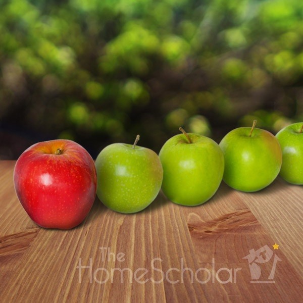 how to homeschool independently top image