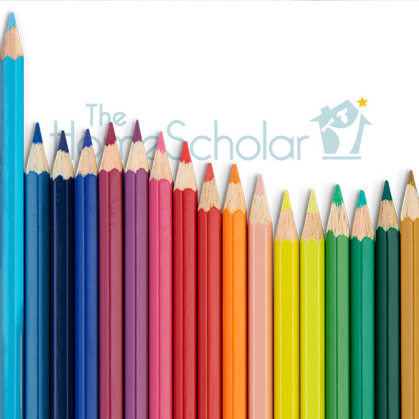 delight directed learning