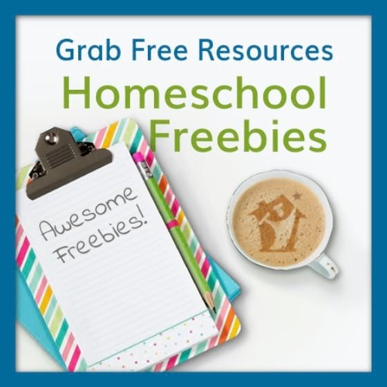 Facebook Follower + Homeschool Freebies = Success