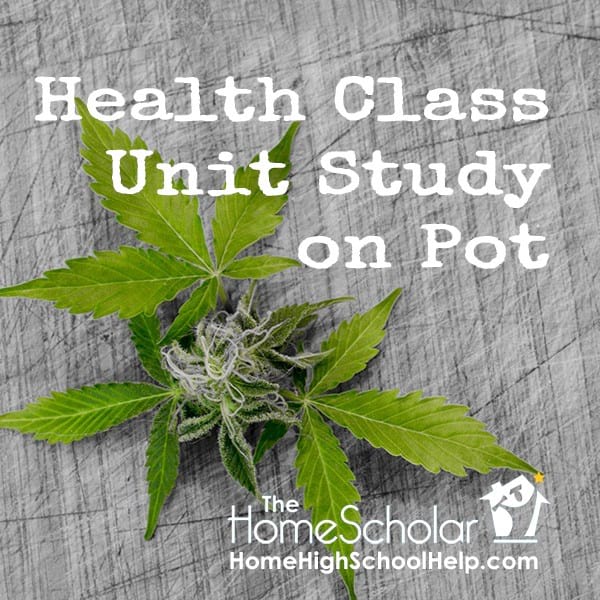 Health Class Unit Study on Pot