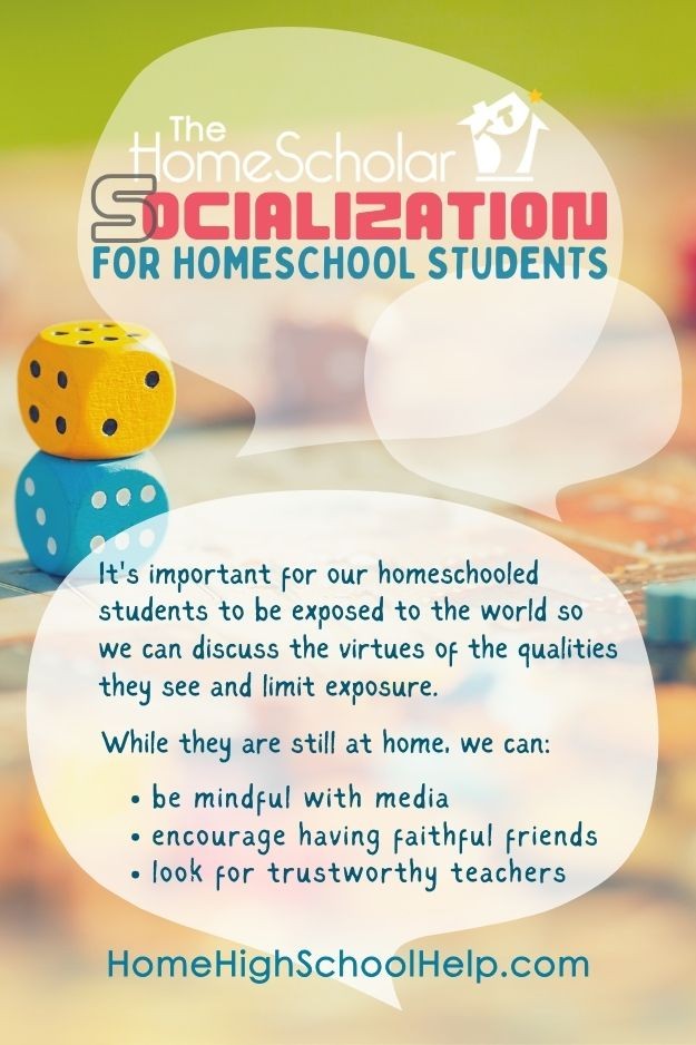 socialization for homeschool students pin