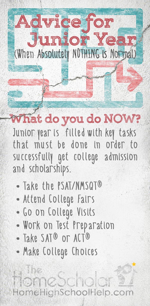 advice for homeschool junior year nothing is normal pin