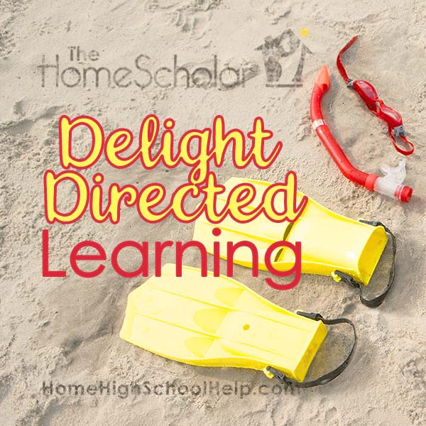 delight directed learning at the high school level