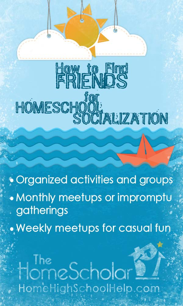 homeschool socialization pin