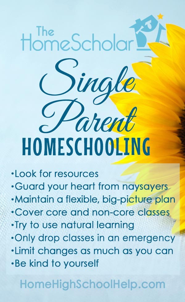 single parent homeschooling pin