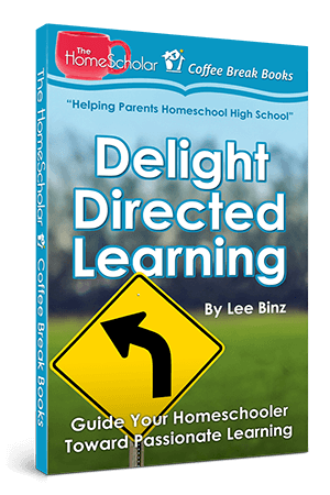 book excerpt delight directed learning 3D book cover