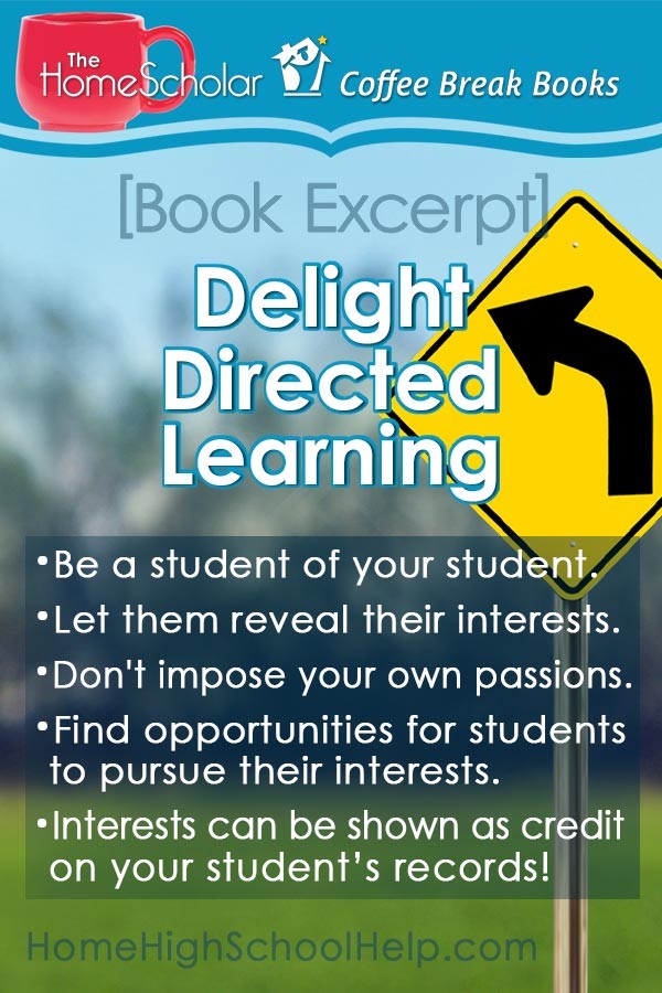 book excerpt delight directed learning pin