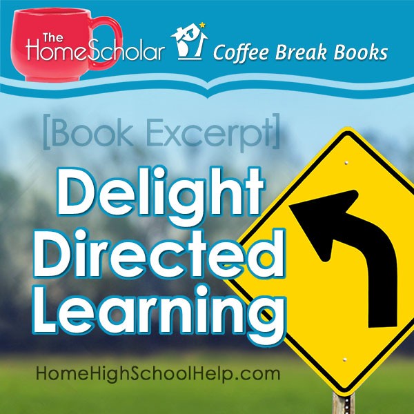 book excerpt delight directed learning title