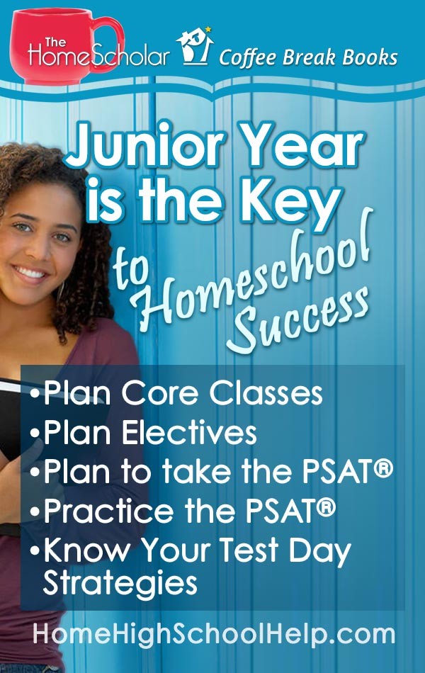 book excerpt junior year is the key to homeschool success pin
