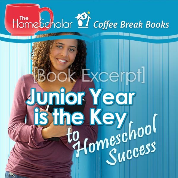 book excerpt junior year is the key to homescool success title