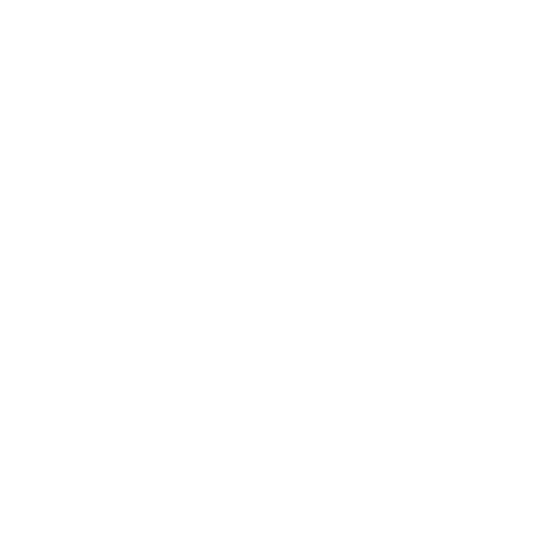 Money Bag Icon